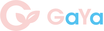 株式会社GaYa